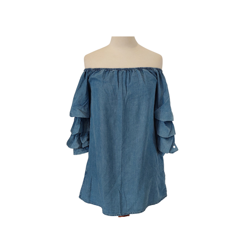 Zara Blue Soft Denim Ruffled Sleeves Butterfly Dress | Like New |