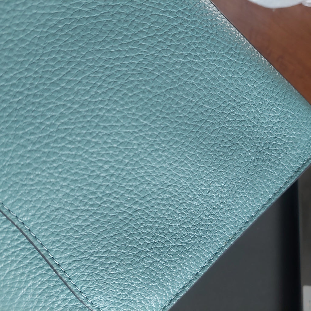 Coach Pepper Leather Crossbody Bag | Like New |
