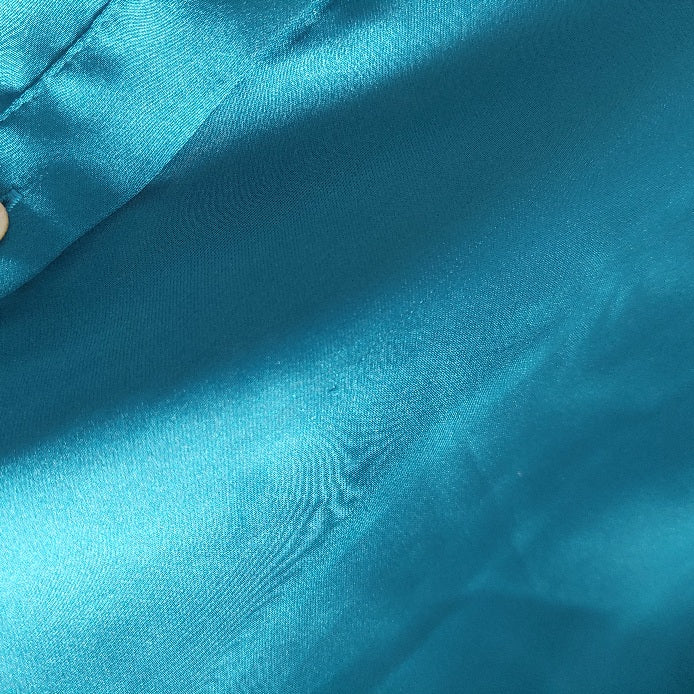 Rachel Zoe Blue Satin Collared Shirt | Brand New |