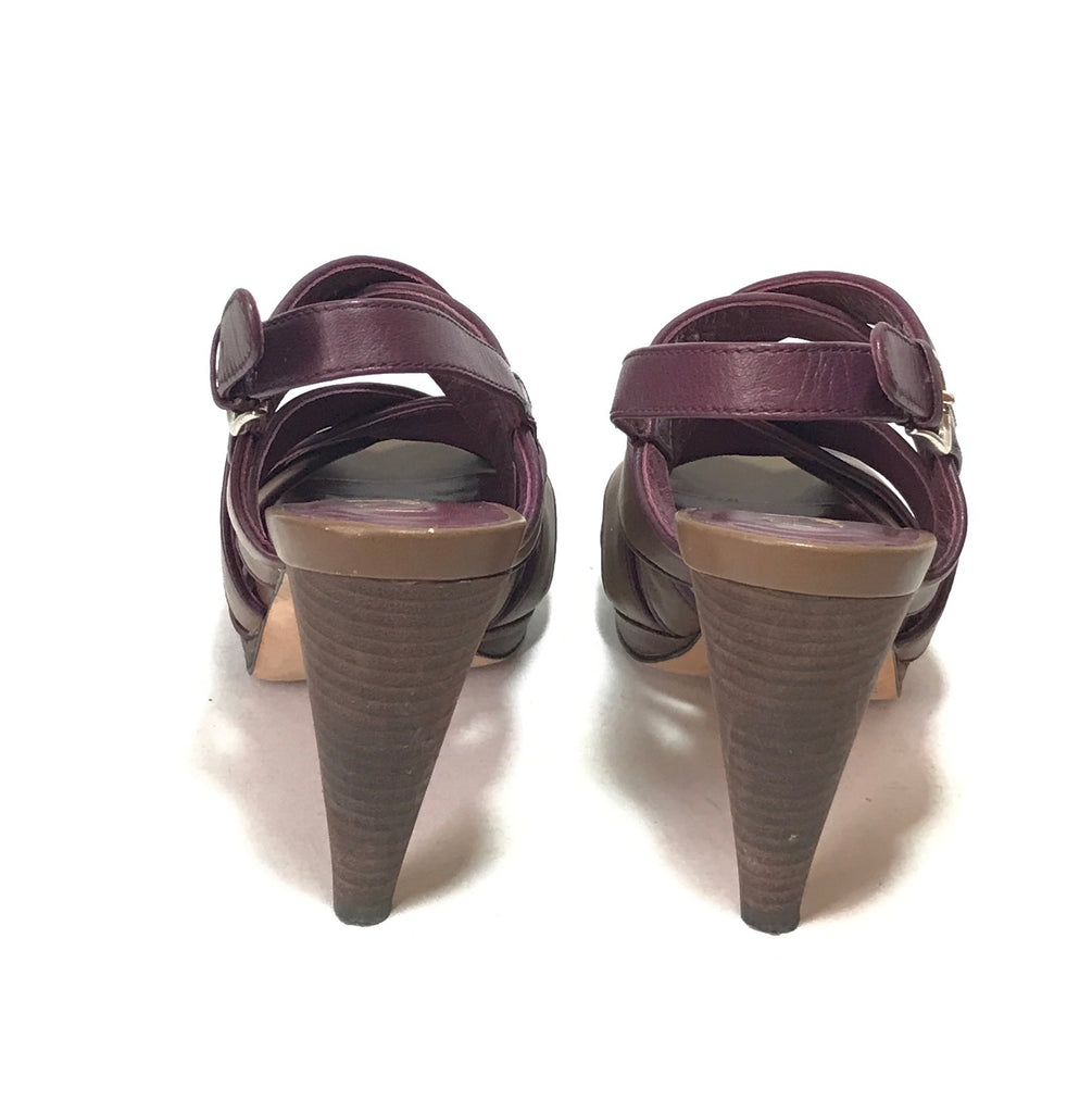 Cole Haan Brown Multi Strap Heels | Like New |