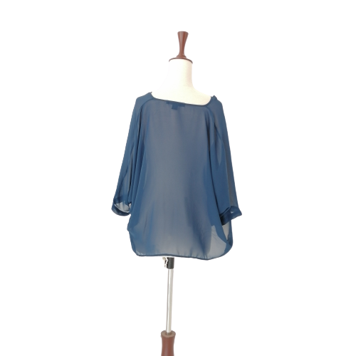 Kenneth Cole Blue Sheer Shirt | Gently Used |